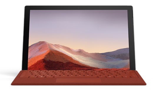 平山清洁和维护 Surface